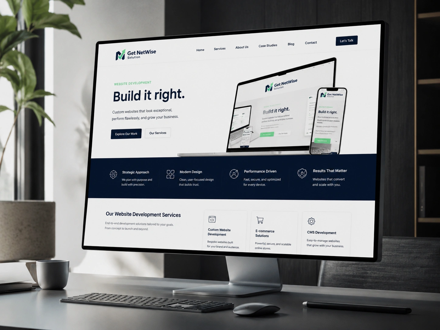 Get NetWise Solution website development service